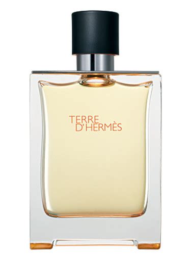 terre hermes cologne 2006.